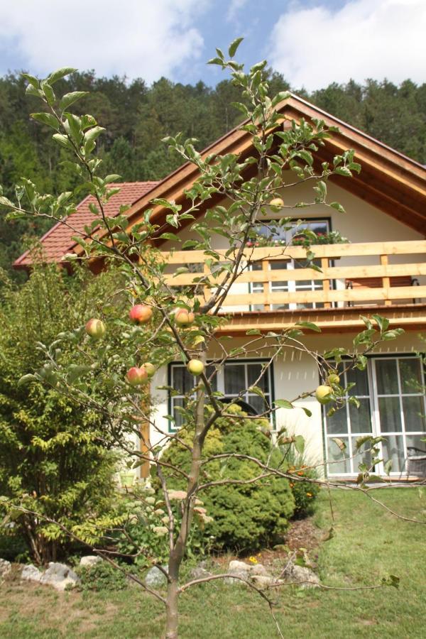 Ferienwohnung Purbach Muggendorf  Exterior photo